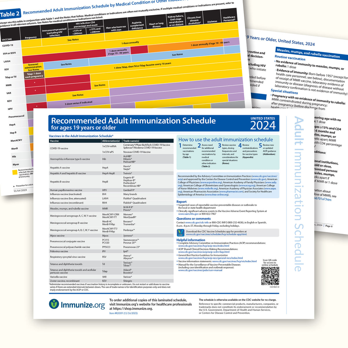 Laminated Adult Immunization Schedule (SOLD OUT)