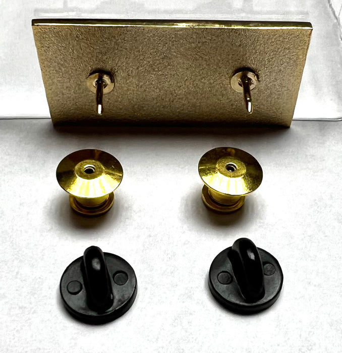 "Vaccination Saves Lives" Double Pin Back